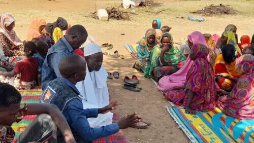 Assistance to displaced persons and affected populations in central Darfur