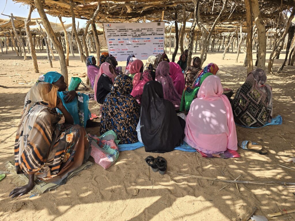 TGH strengthens nutrition, food security, and the resilience of host and displaced communities in the locality of Bendasi, Central Darfur.