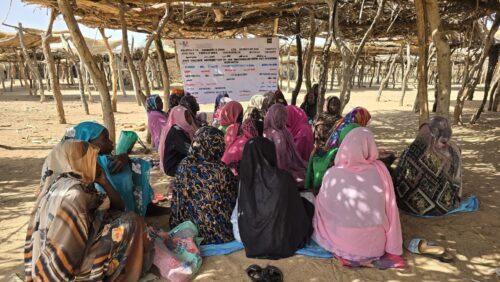 Strengthening nutrition and community resilience in Bendasi