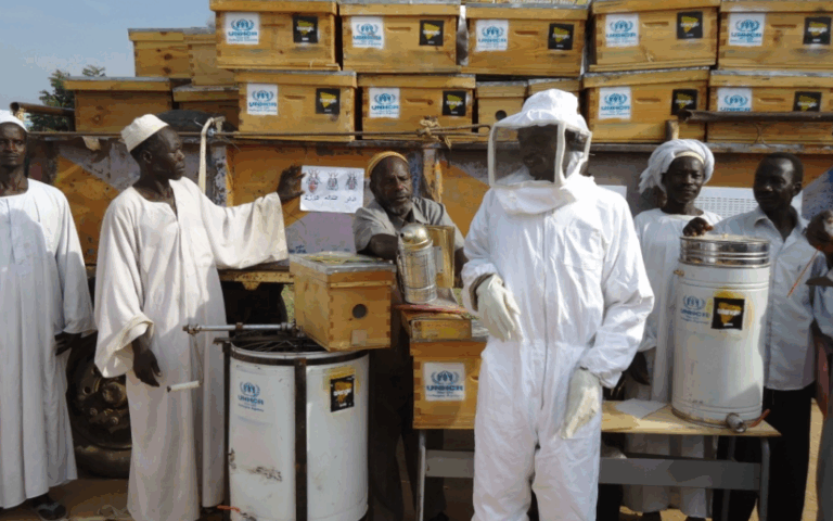 distribution_materiel_apiculture_soudan