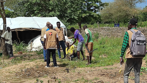 Emergency response to food insecurity in CAR