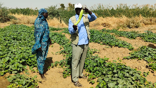 DarFood : Assurer la sécurité alimentaire et la nutrition au Darfour