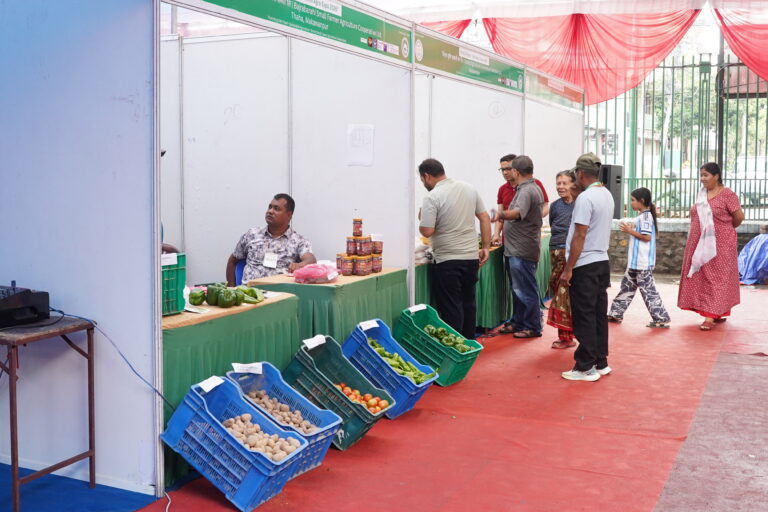 Mini Agro Expo au Népal_04