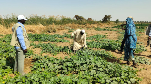 SuDAN West – Sustainable and Diversified Agriculture and Nutrition for West Sudan